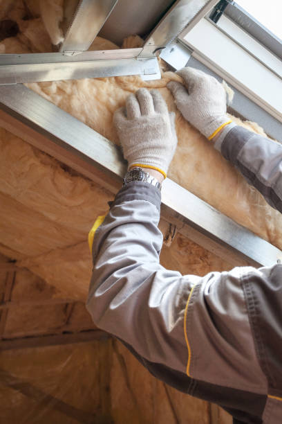 Insulation Contractors for Homes in Kaneohe, HI