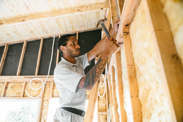 Best Attic Insulation Installation  in Kaneohe, HI