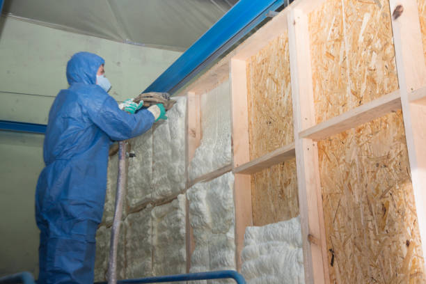 Best Wall Insulation Contractor  in Kaneohe, HI