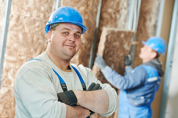 Best Insulation Inspection Services  in Kaneohe, HI